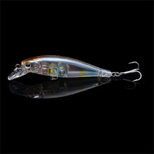 Durable Bionic Fish Minnow Fishing Lure 65mm 5g Popular Hard Bait With French Treble Hooks Lifelike 3D Eyes  DW35 P30