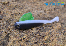 5Pcs/Pack Trulinoya  Fishing Soft Lure 75mm 2g  Popular Fishing Artificial Baits Stereoscopic Bionic Fake Fishing Lure